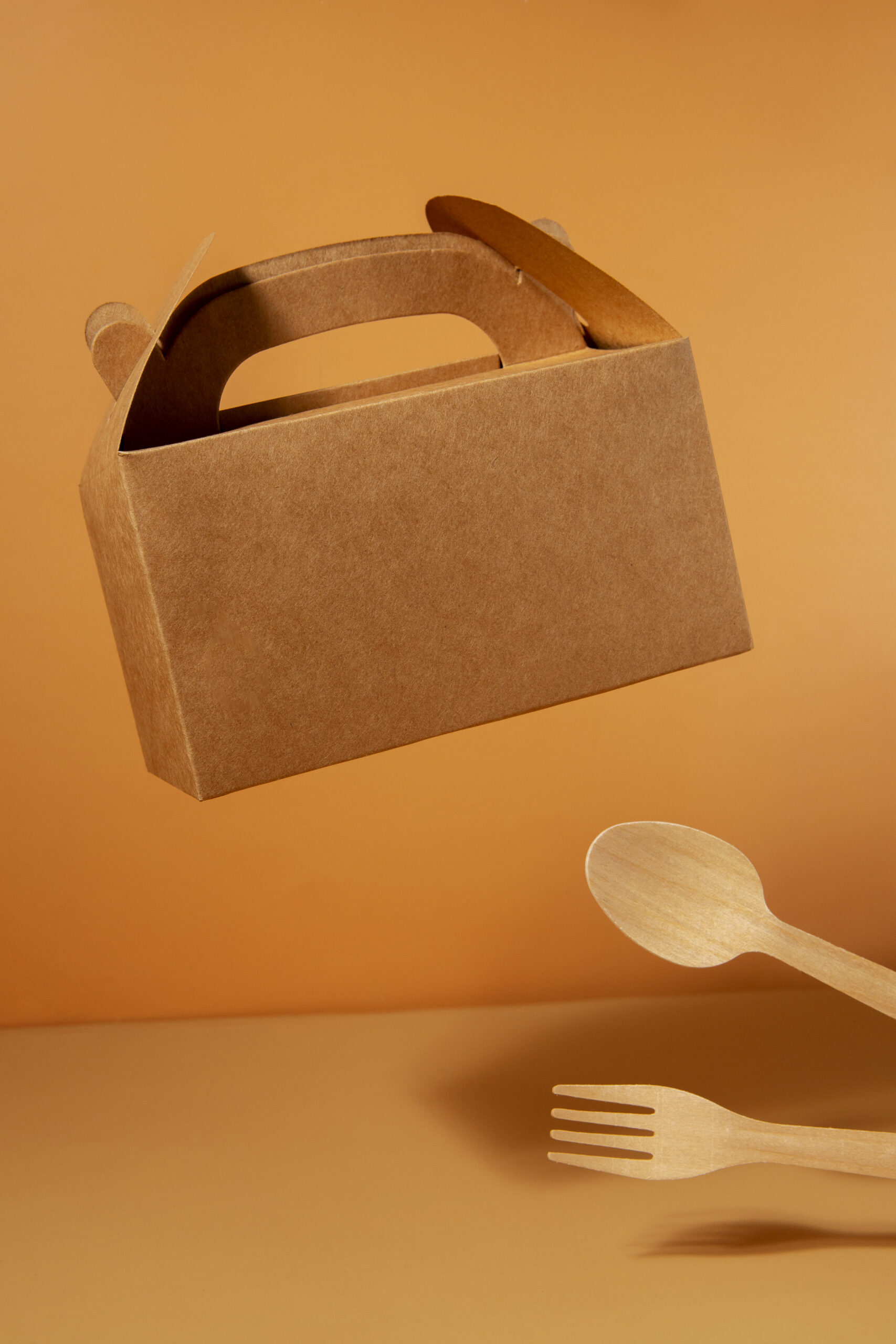 still-life-cardboard-organic-dinnerware (1)